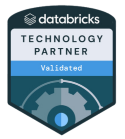 Databricks badge